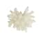 6" White Polystone Small Textured Coral Sculpture with Clear Acrylic Base